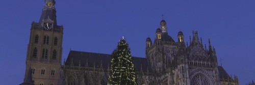 St Jan Den Bosch en kerstboom - nacht
